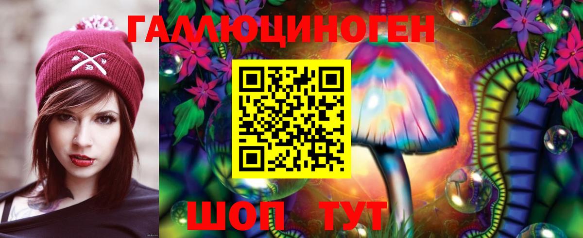 Галлюциногенные грибы Psilocybe Похвистнево
